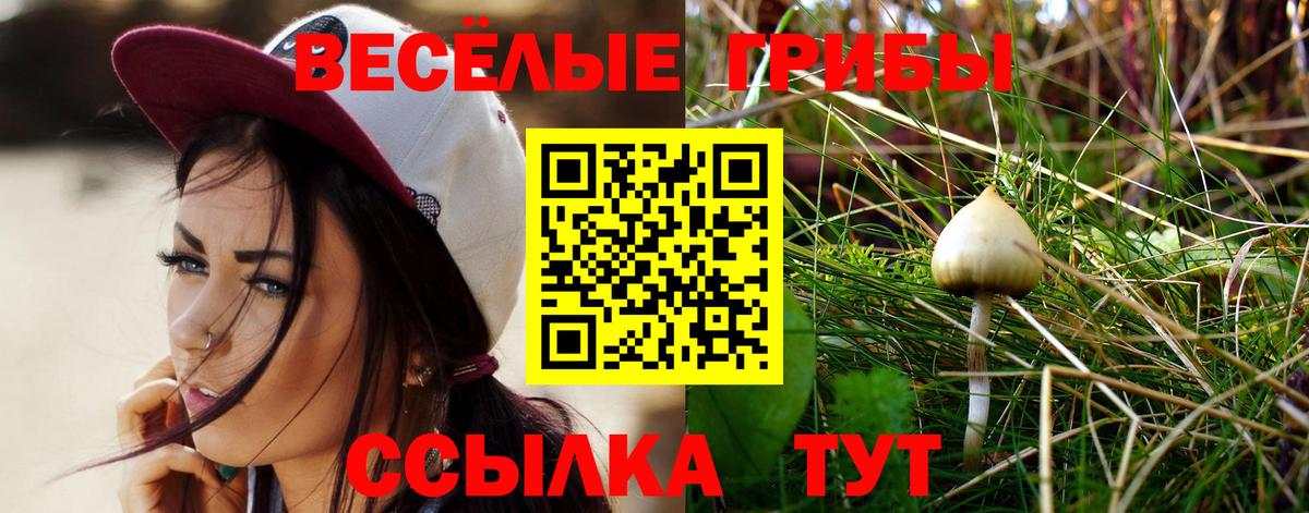 Псилоцибиновые грибы MAGIC MUSHROOMS Фрязино
