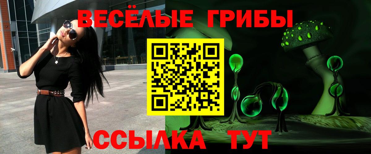 Галлюциногенные грибы мицелий  Вход с VPN  Галлюциногенные грибы Cubensis  Фрязино 